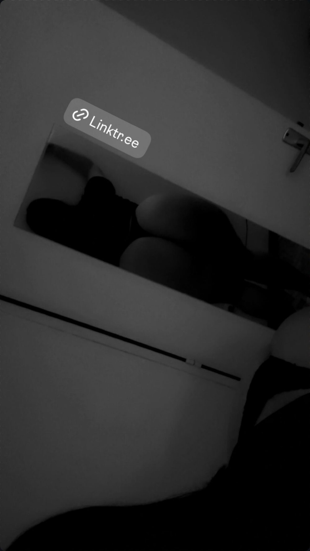 IMG_1825.jpeg