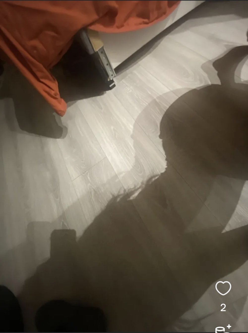 IMG_0407.jpeg