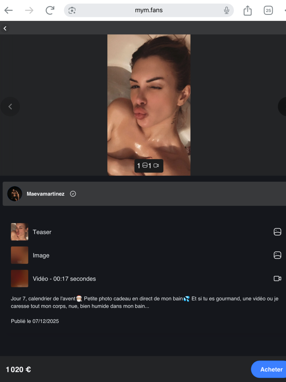 1766138529853.png