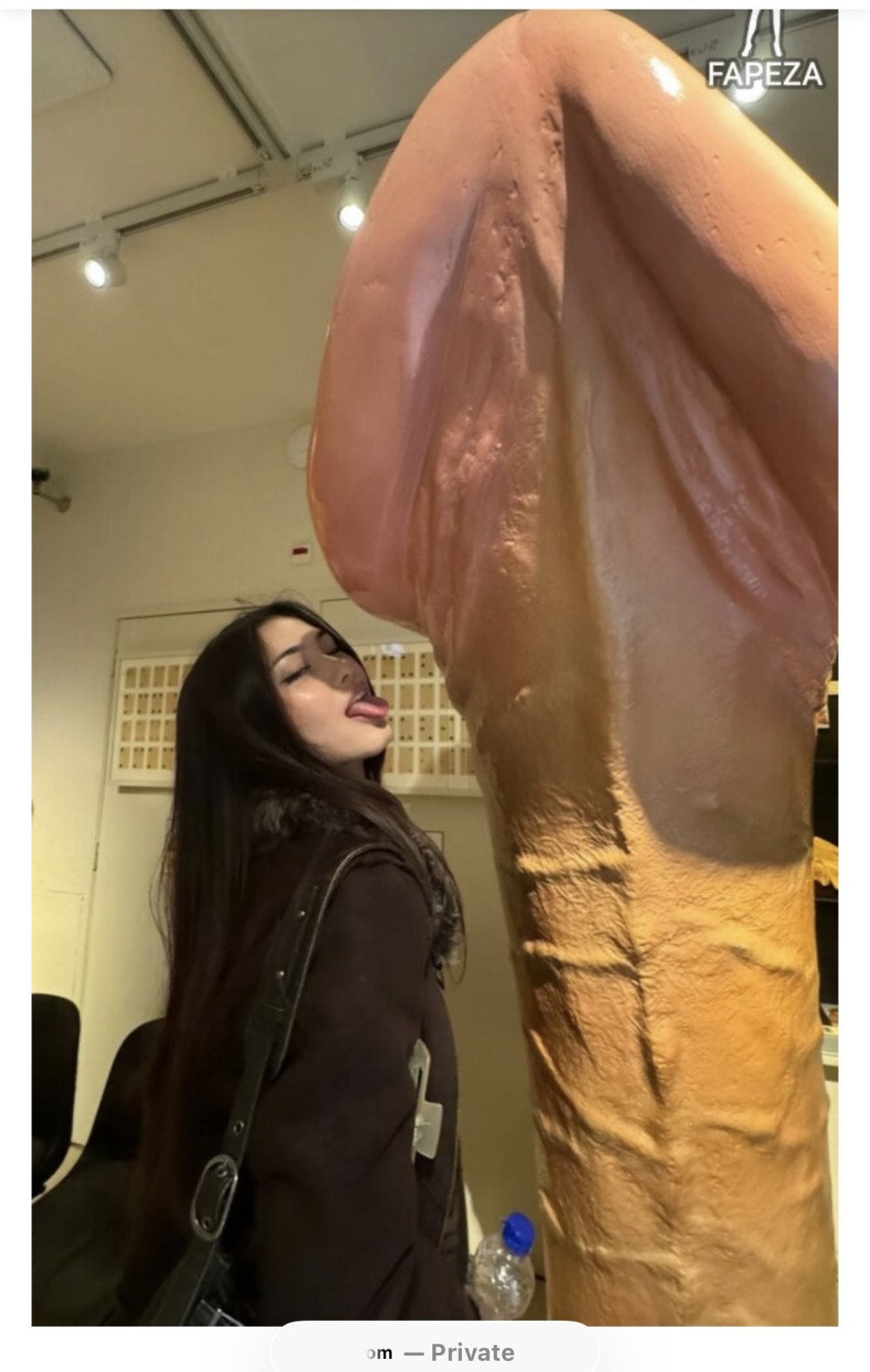 IMG_6667.jpeg