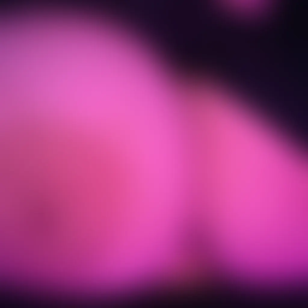 IMG_3550.png