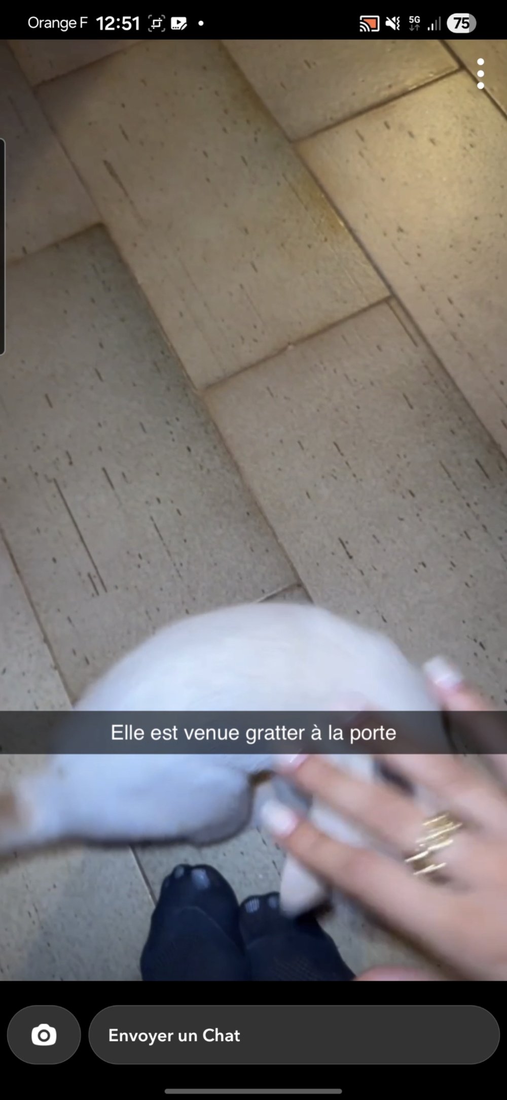 Screenshot_20260323_125234_Gallery.jpg