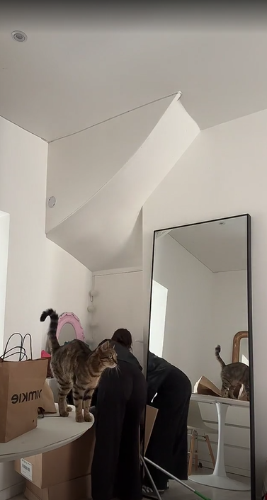 1775244009582.png