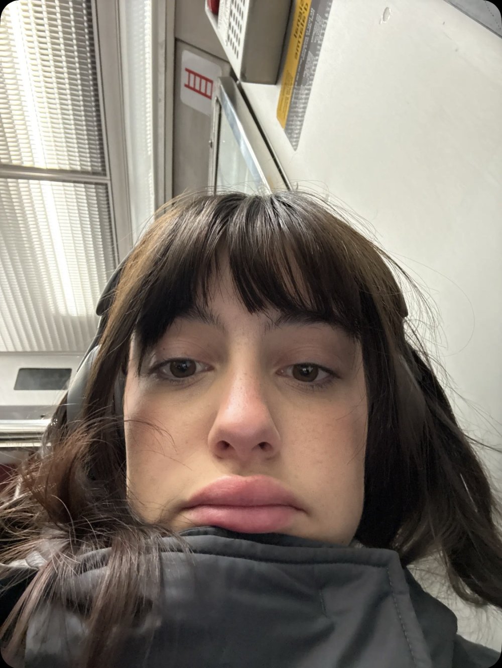 IMG_6721.jpeg