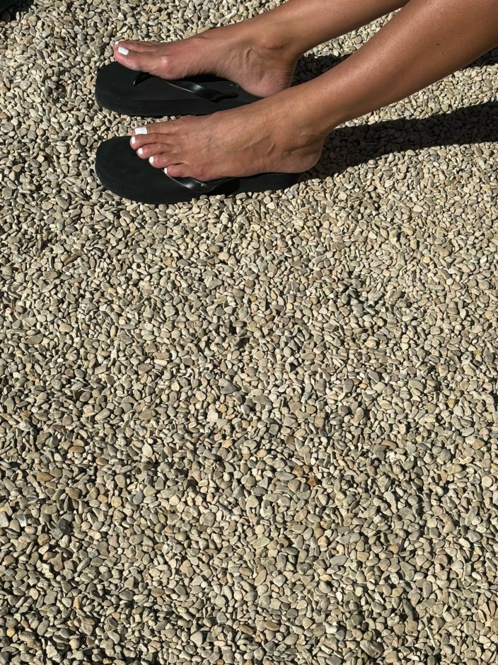 IMG_3337.jpeg