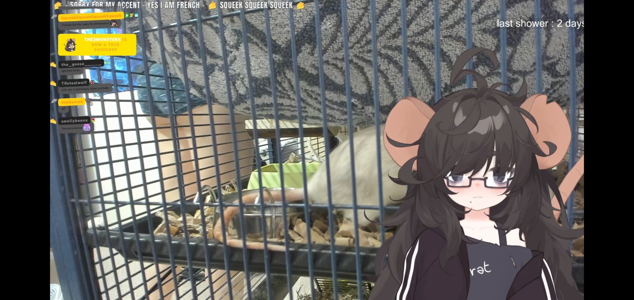 Screenshot_20260514_020349_Twitch.jpg