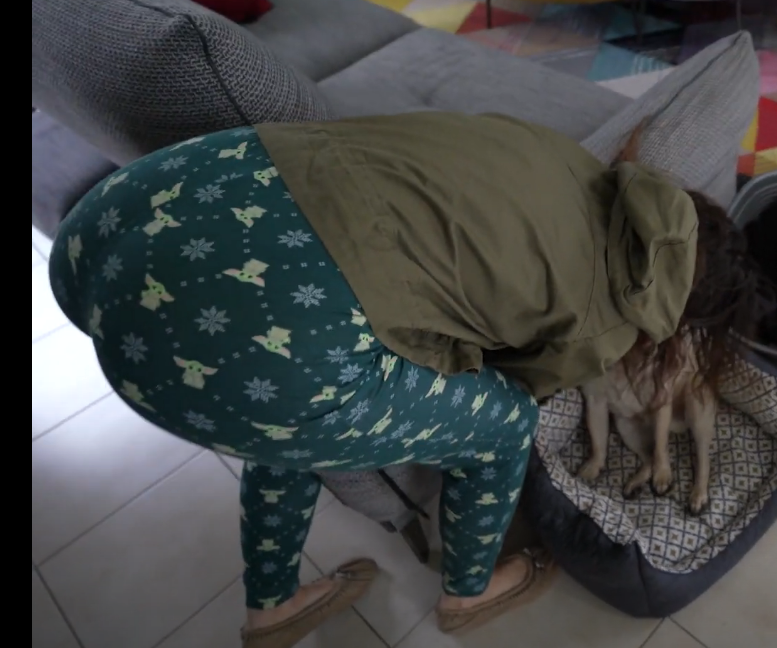 Pidi 66.png