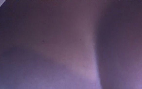 IMG_20260713_172536.jpg