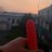 Le_gode_rose