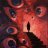 P4L