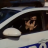 Franklinsaint666