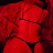 Jo_Silveia